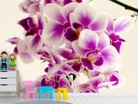 Вибрати фотошпалери  в ігрову кімнату Орхідея на бежевому тлі вищої якості великий вибір кращих фото шпалер на стіну в інтернет магазині Еко Шпалери