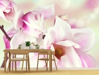 Вибрати фотошпалери  в кухню і їдальню Квітка магнолії вищої якості великий вибір кращих фото шпалер на стіну в інтернет магазині Еко Шпалери
