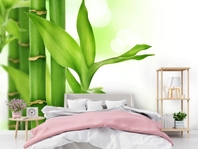 Вибрати фотошпалери  в спальню Бамбук вищої якості великий вибір кращих фото шпалер на стіну в інтернет магазині Еко Шпалери